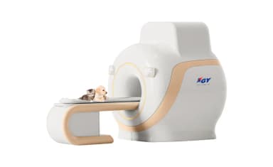 RMN veterinar